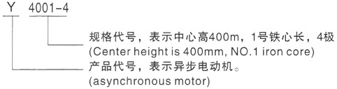 西安泰富西玛Y系列(H355-1000)高压YRKK3554-2/315KW三相异步电机型号说明